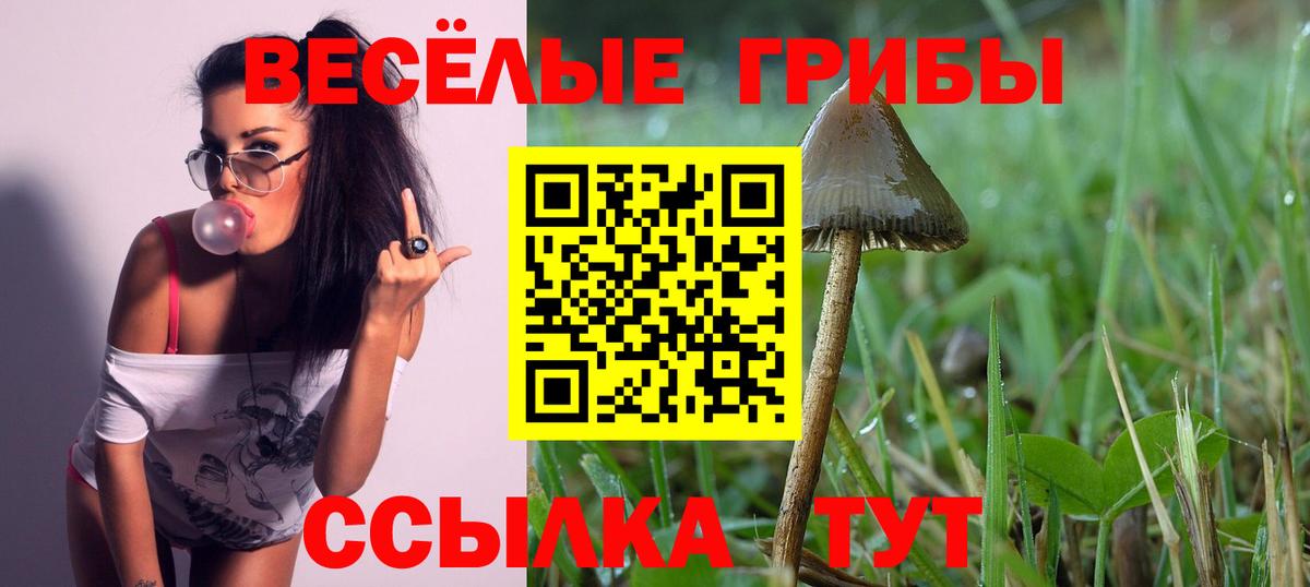 Псилоцибиновые грибы MAGIC MUSHROOMS Новозыбков