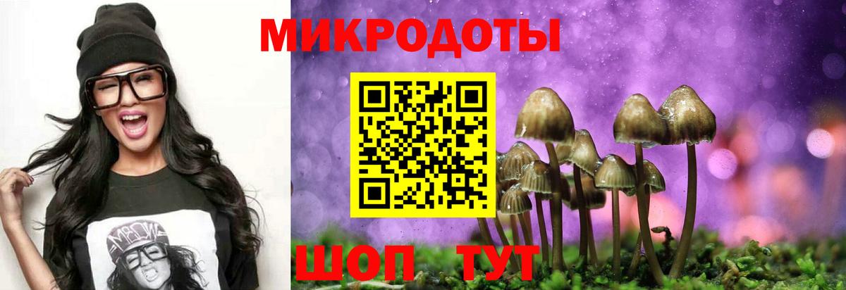 Псилоцибиновые грибы мухоморы  Вход с VPN  Новозыбков  Галлюциногенные грибы Magic Shrooms 